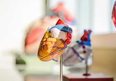 Neurologist doctor in Hyderabad